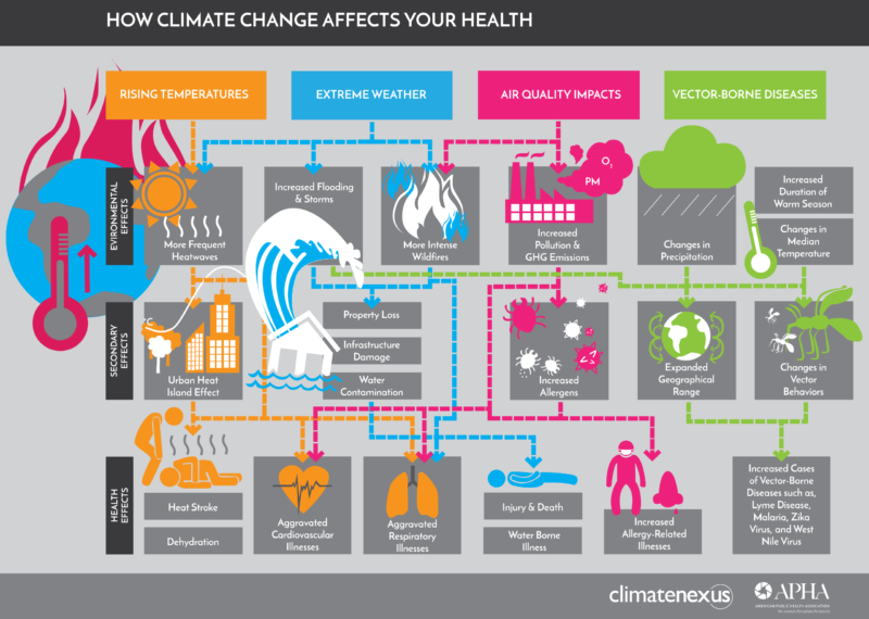 how climate change affects your healt illustration