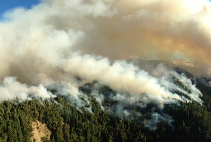 A wildfire rages through a California forest