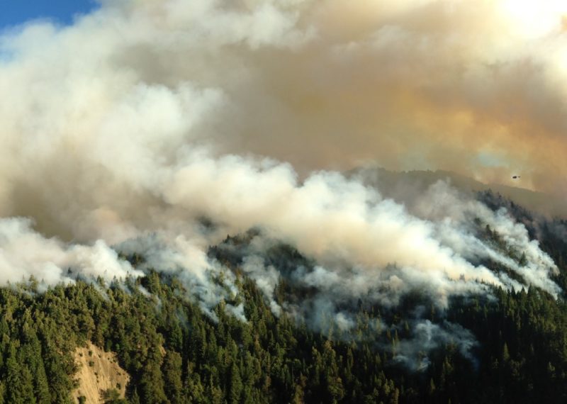 A wildfire rages through a California forest