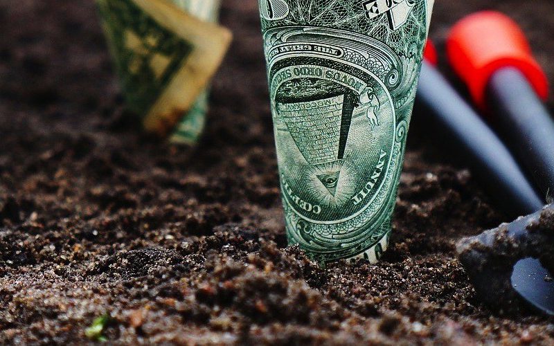 money seeded in the ground with a planting tools