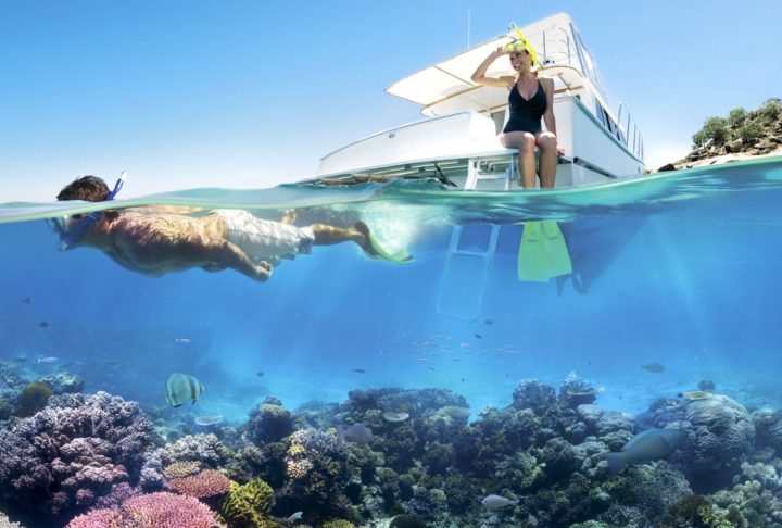 Snorkelers explore Australia’s Great Barrier Reef