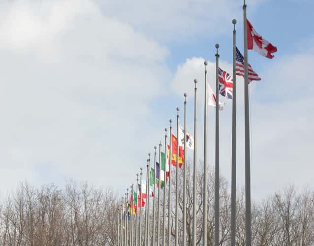 flags displayed in line