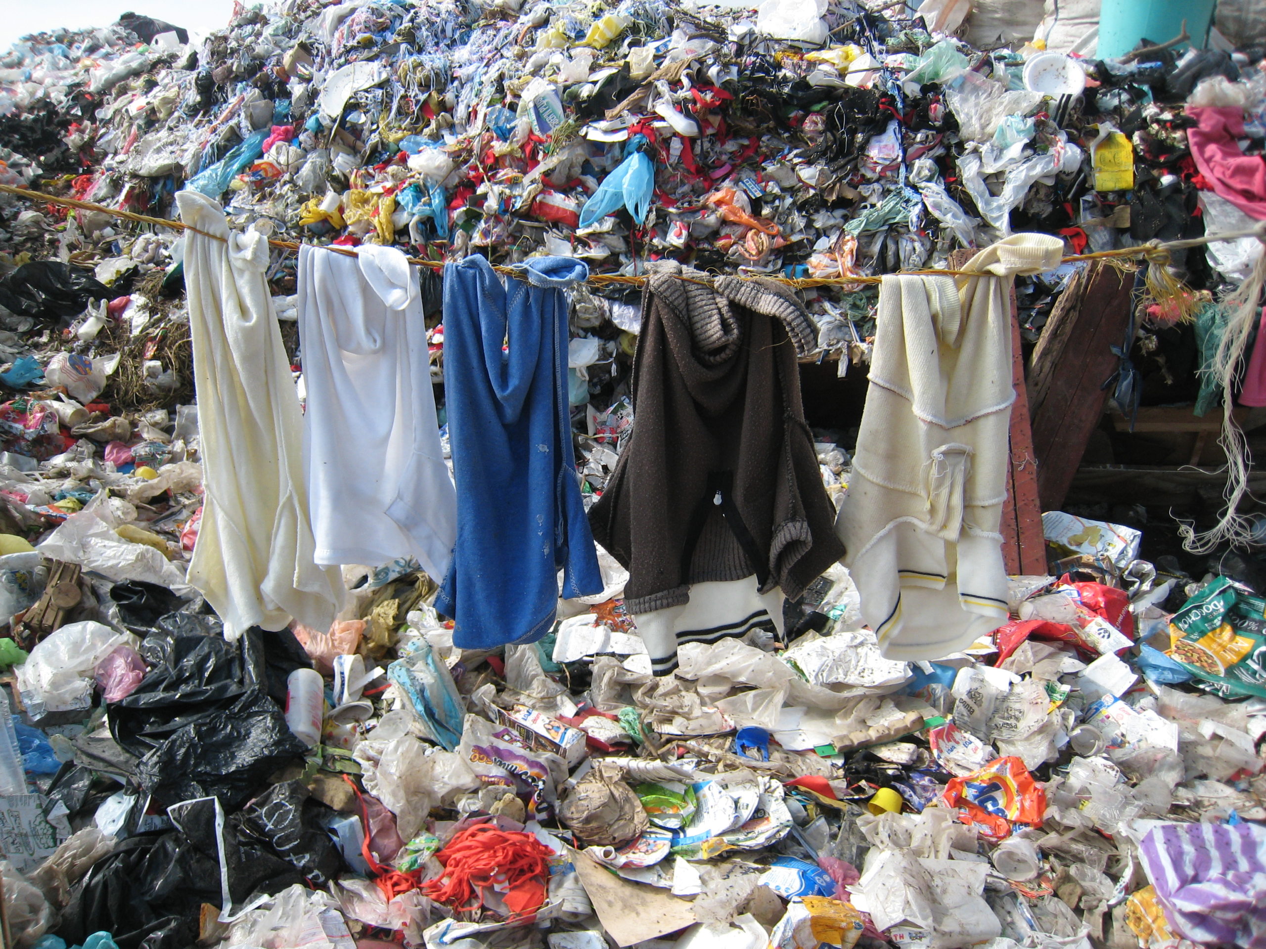 Fast Fashion Is an Environmental Catastrophe. Is Composting Your Clothes the Solution?
