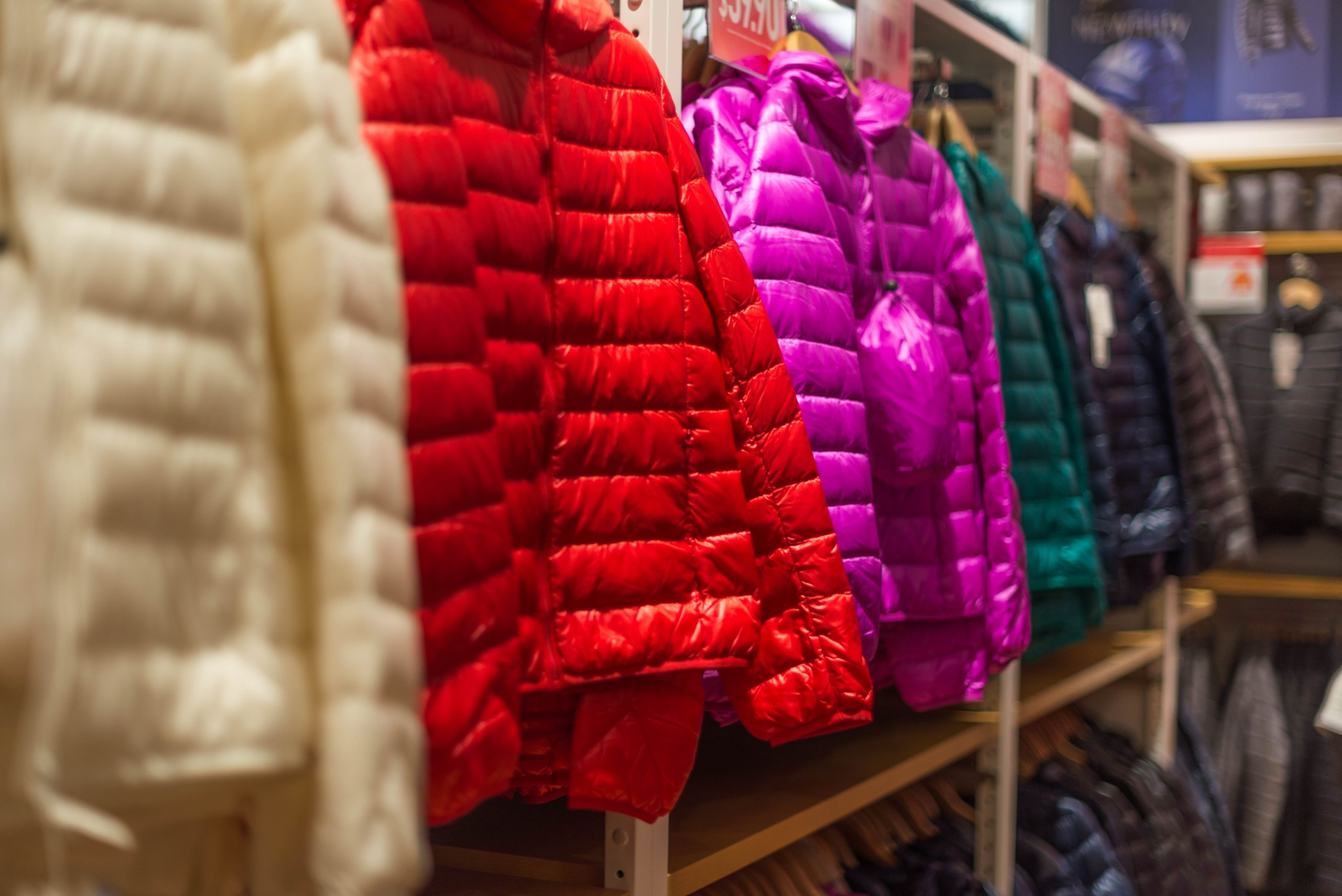 bright colored down jackets