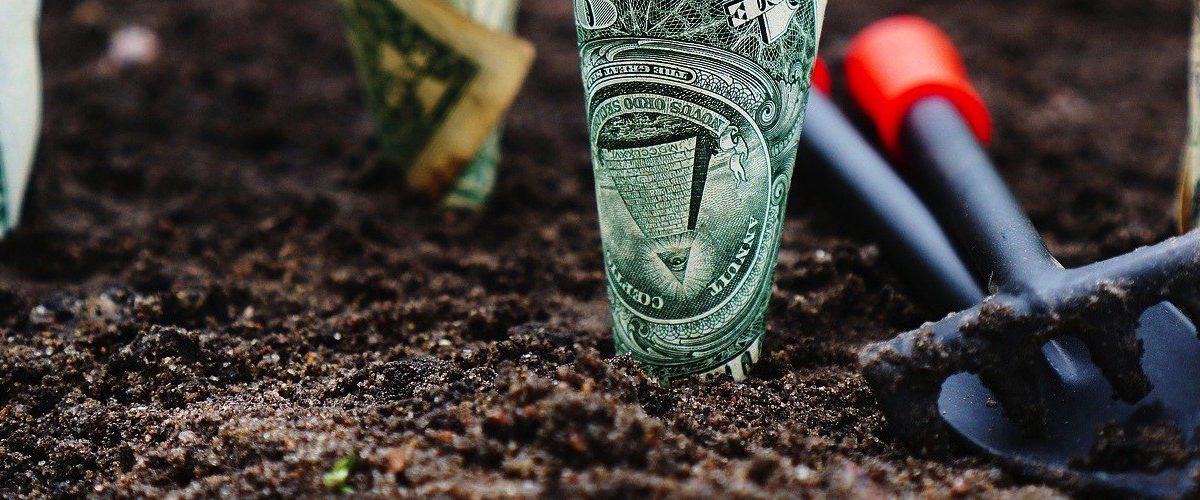 money seeded in the ground with a planting tools