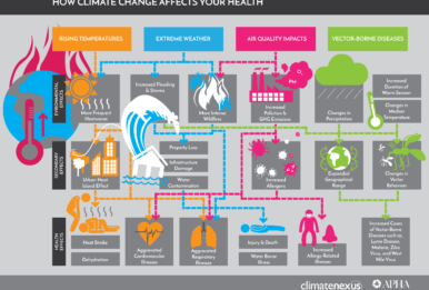 how climate change affects your healt illustration
