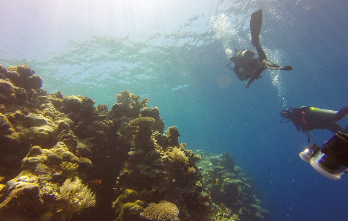 divers trying to rise to the reef surface