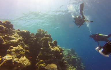 divers trying to rise to the reef surface