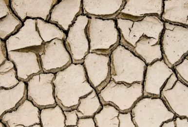 Drought cracked ground