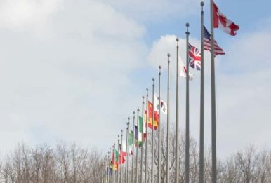 flags displayed in line