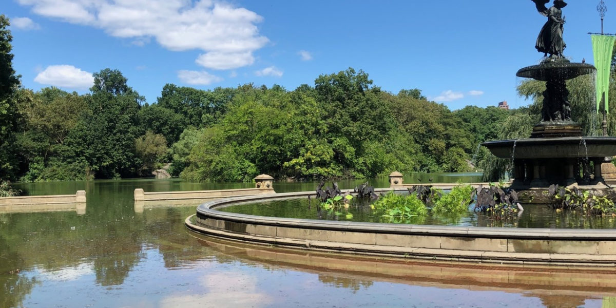 Central Park's Bethesda Fountain after Hurricane Ida. Credit: Central Park Conservancy