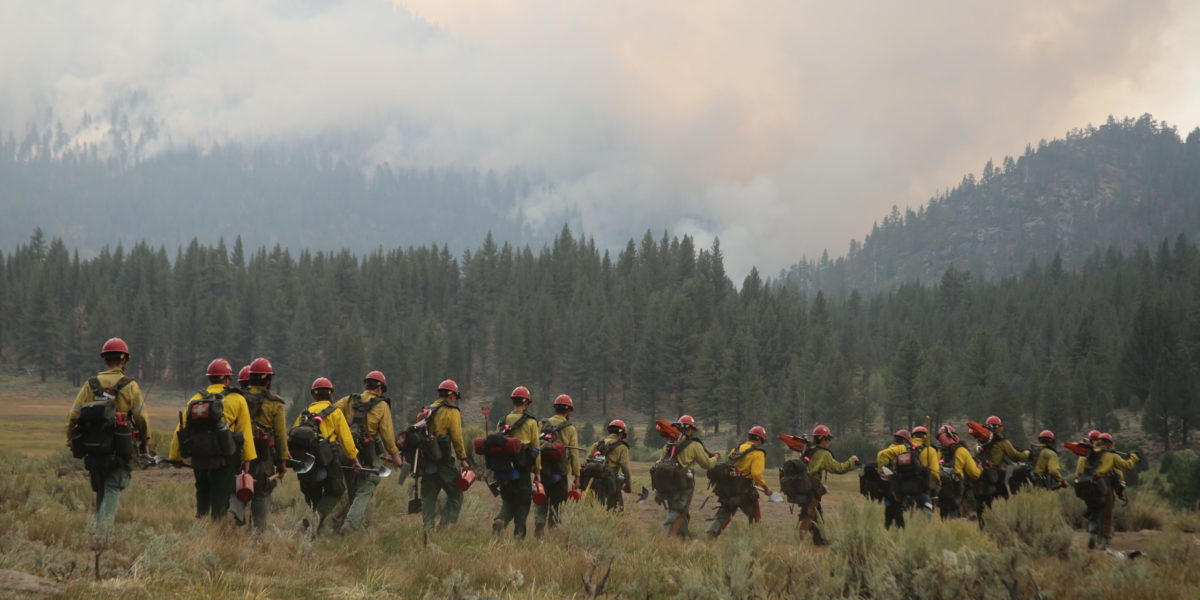Black Mountain Hotshots hiking into the Slink Fire in California.Credit: USDA photo by Charity Parks via Flickr