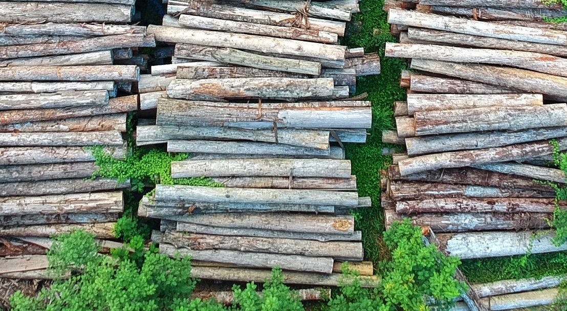 Wood piles. Source: Pexels