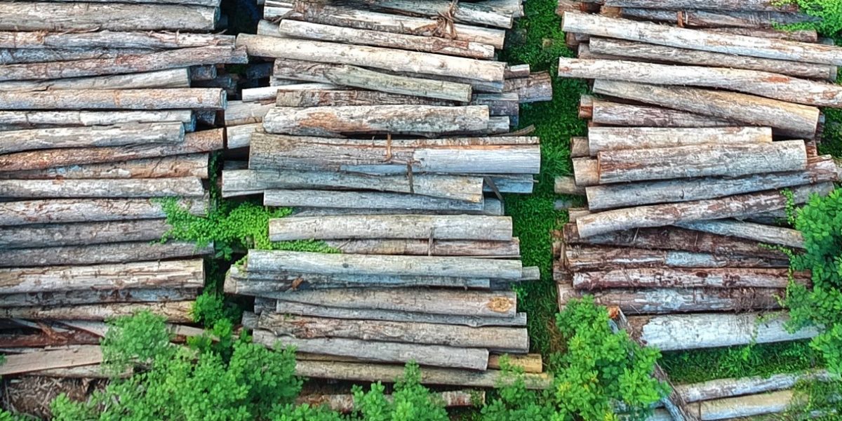 Wood piles. Source: Pexels