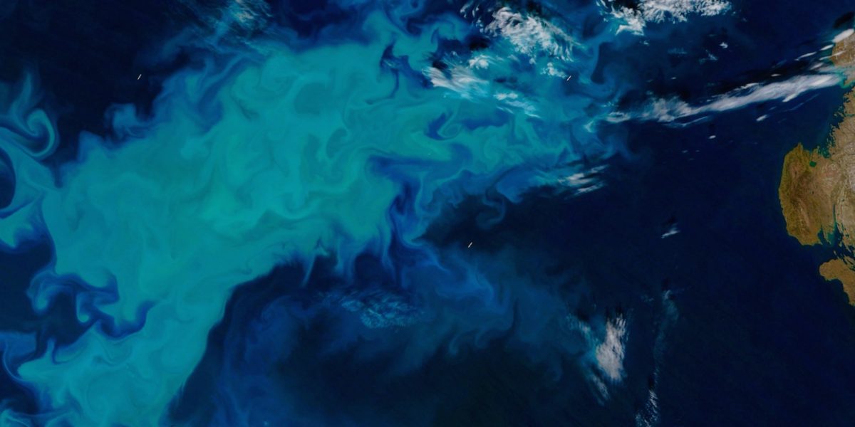 A phytoplankton bloom in the Barents Sea. Source: NASA image by Jeff Schmaltz and Joshua Stevens
