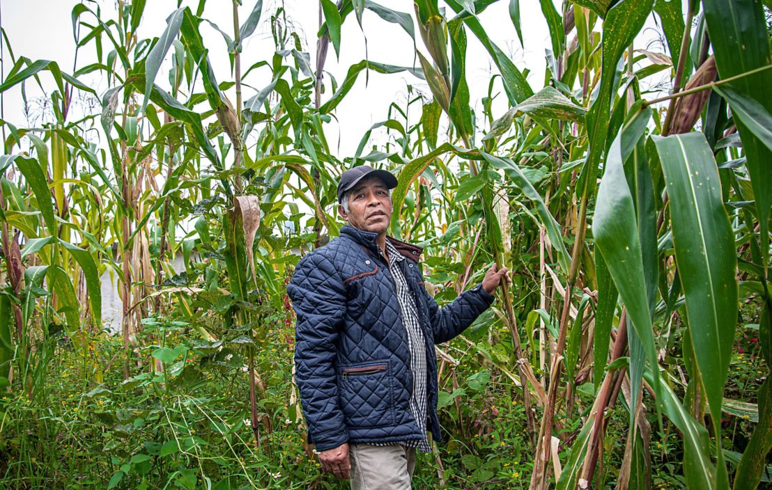 “You cannot feed your family with the production of your fields alone,” said Roberto Cortez Viliegas, a 64-year old campesino from Totontepec in Oaxaca. He said that climate change is creating unusually long periods of drought in the rainy season. Source: Teake Zuidema