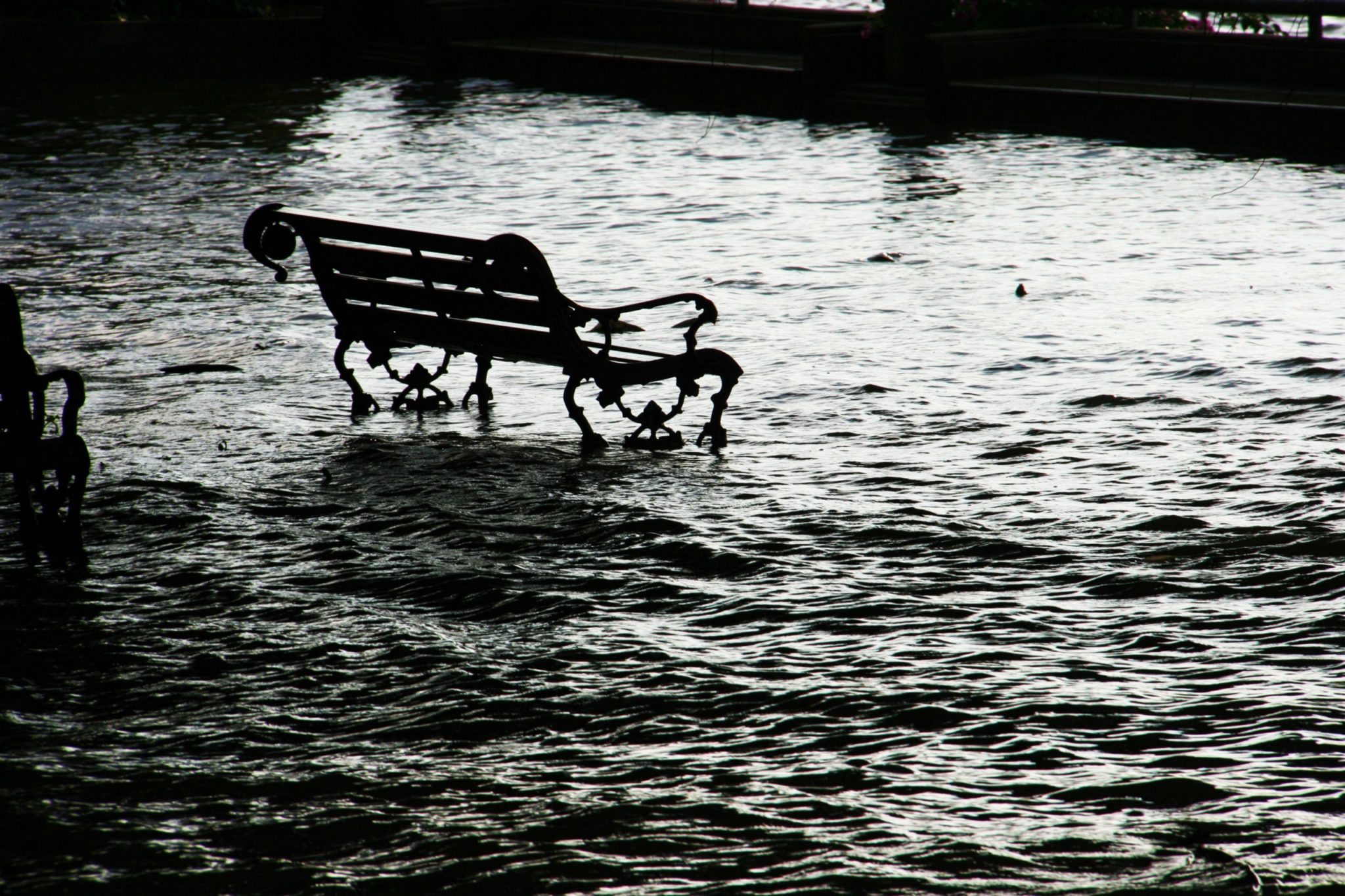banking in the flood, black and white