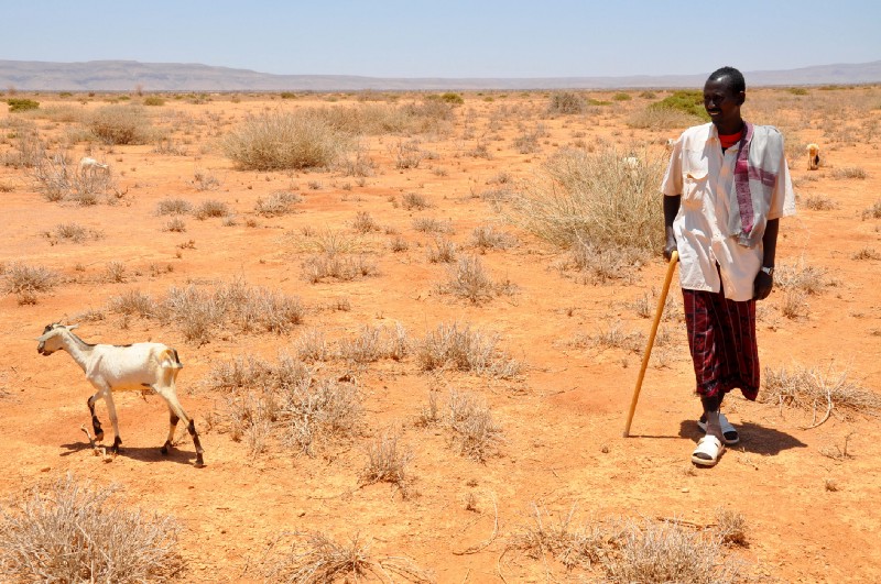 A herder with one of his few remaining goats during a drought